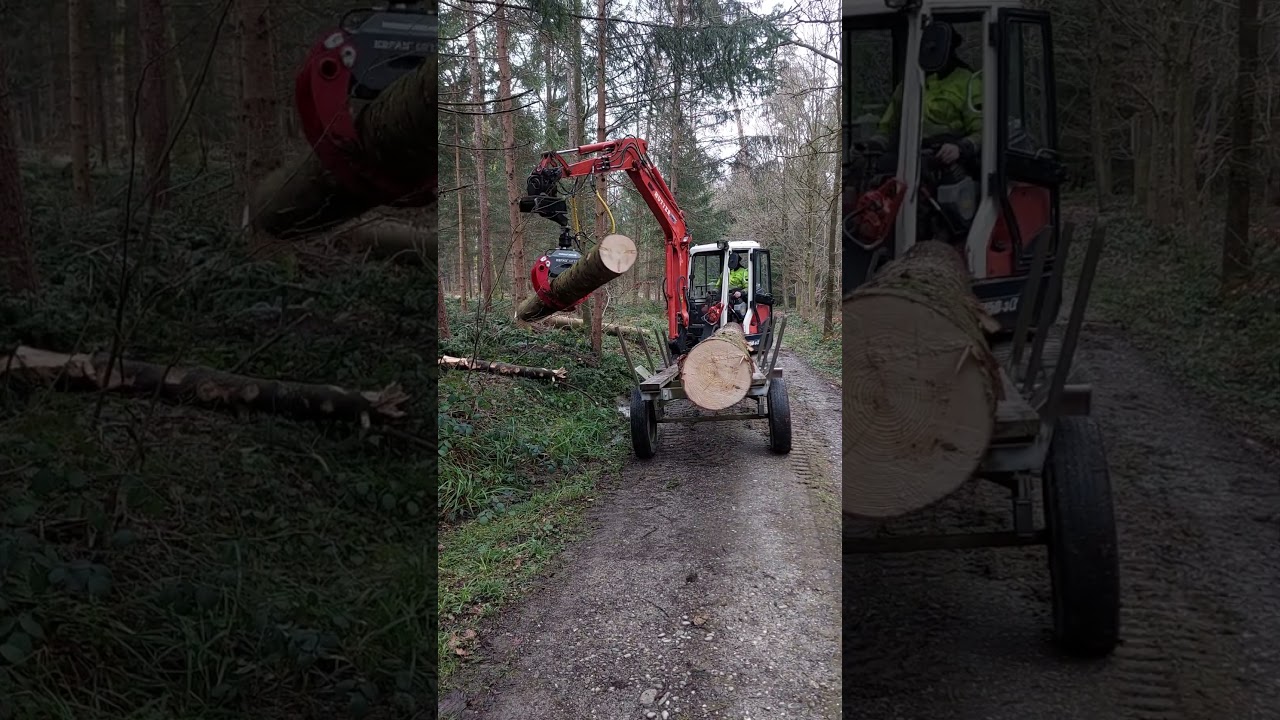 Holz laden mit Bagger und R&uuml;ckewagen