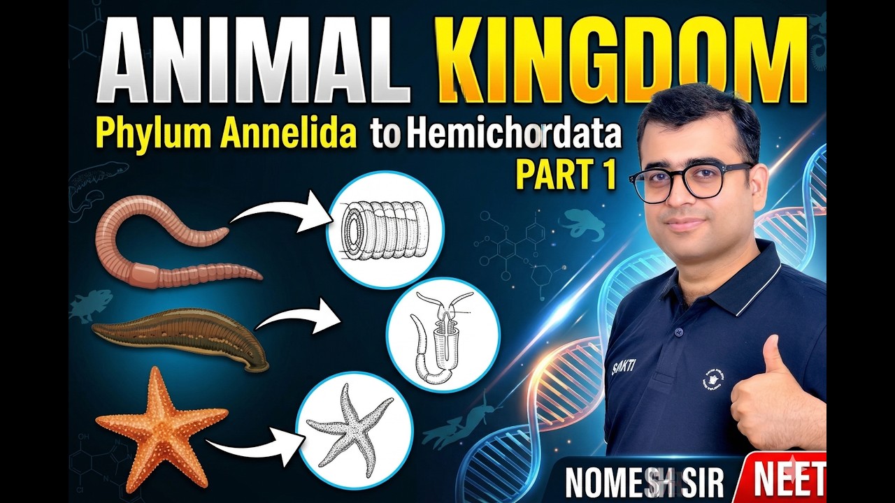 Phylum Annelida to Phylum Hemichordata : Animal Kingdom