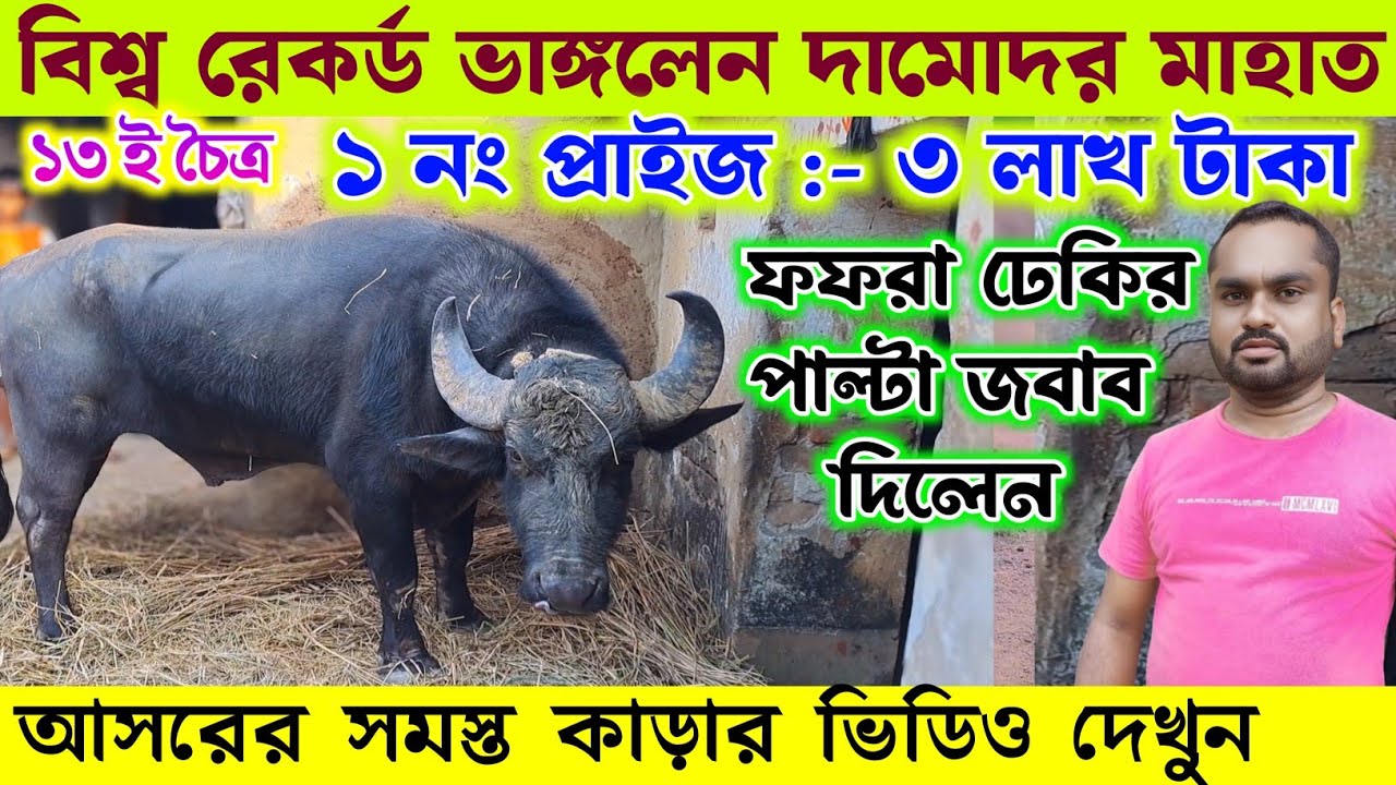১৩ ই চৈত্র দামোদর মাহাত ৩ লাখ প্রাইজ দিয়ে মেলার ডাক দিলেন !! সাথে ফফরা ঢেকির পাল্টা জবাব দিলেন 