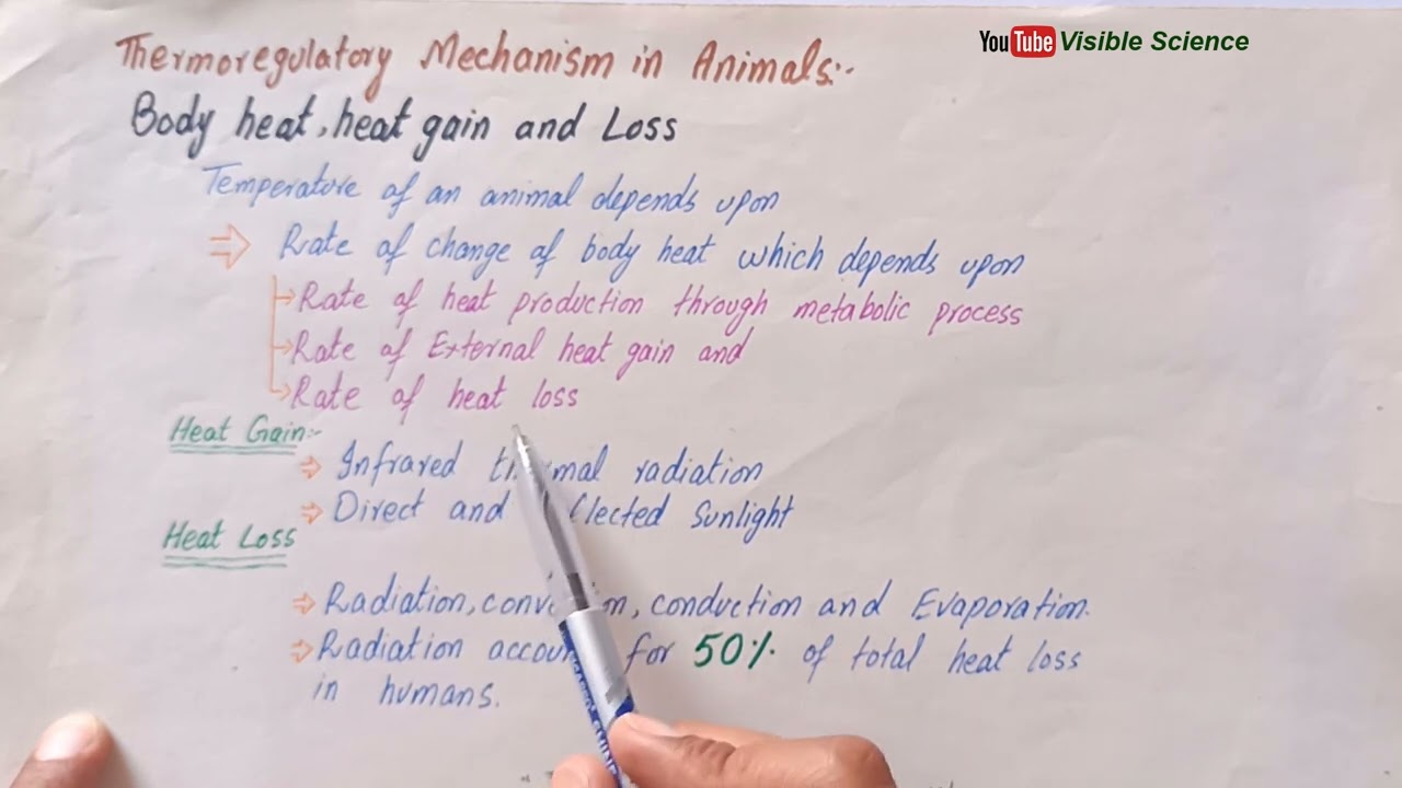 Thermoregulatory mechanism in animals | Body heat, heat gain and loss | Class 12