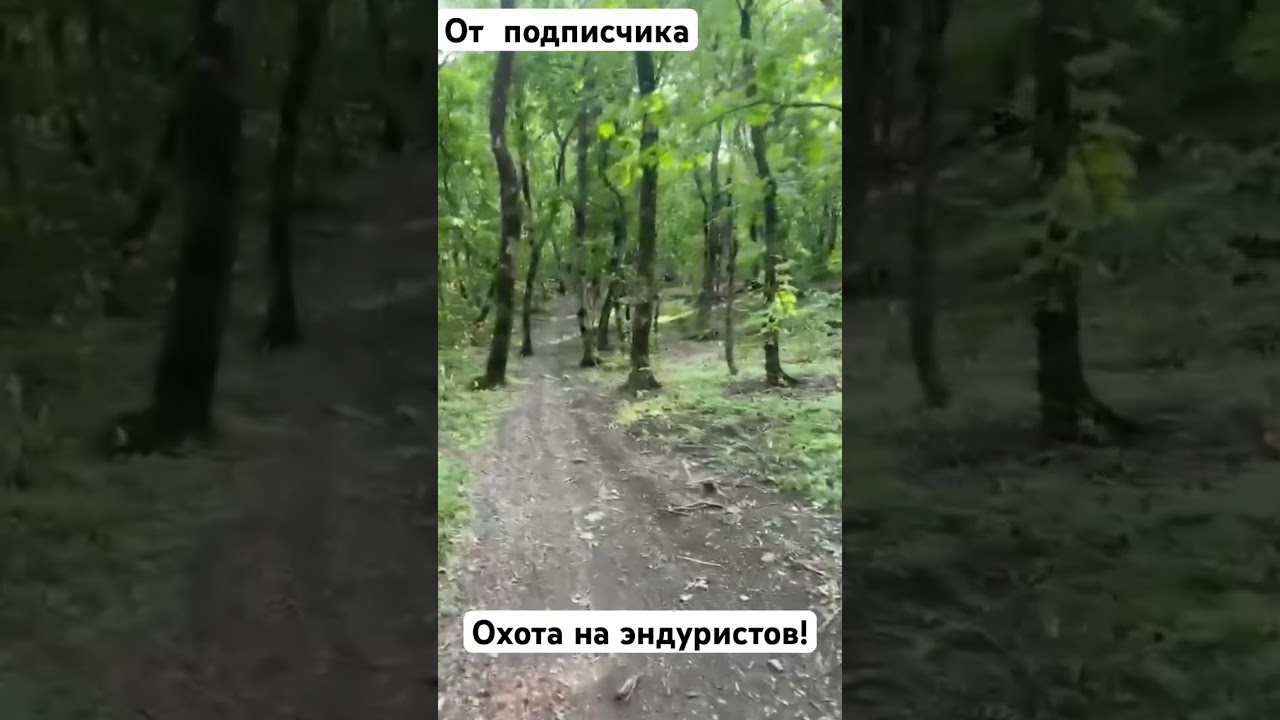 Охота на эндуристов на Змейке! Кмв. 