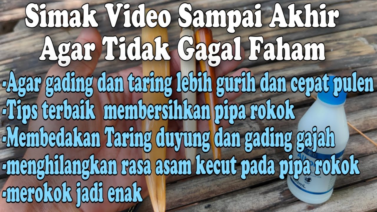 Cara membersihkan pipa gading dan taring agar lebih cepat pulen