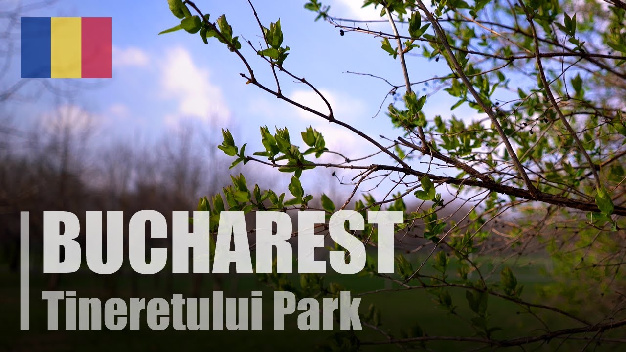 Spring in Tineretului Park | Bucharest | Romania 🇷🇴