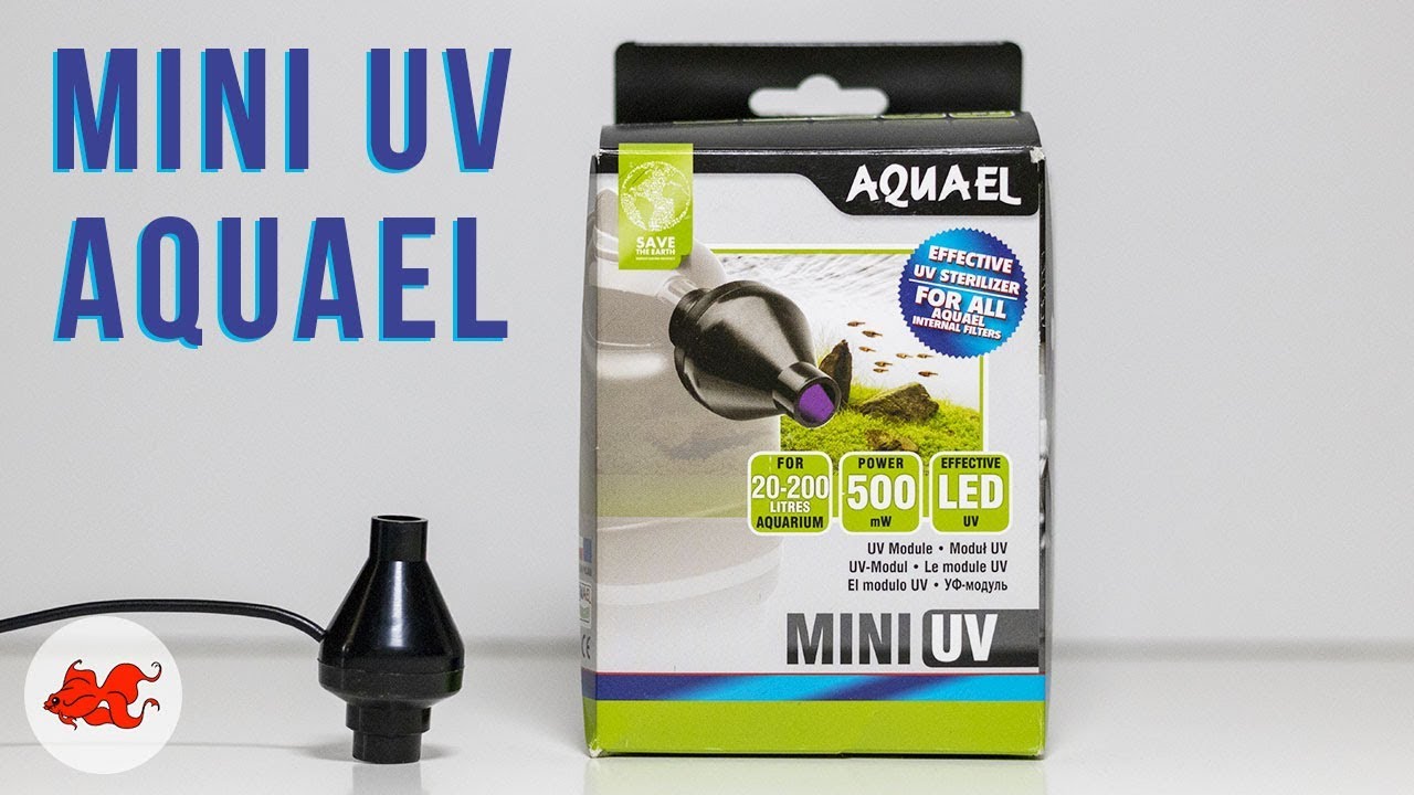 Test Mini UV Aquael