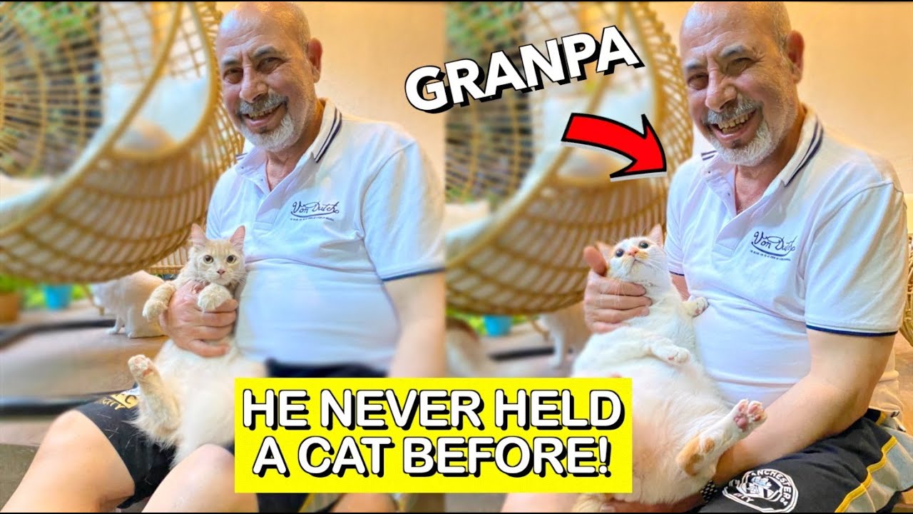 My CATS Meeting Their GRANDPA For the First Time! 😻