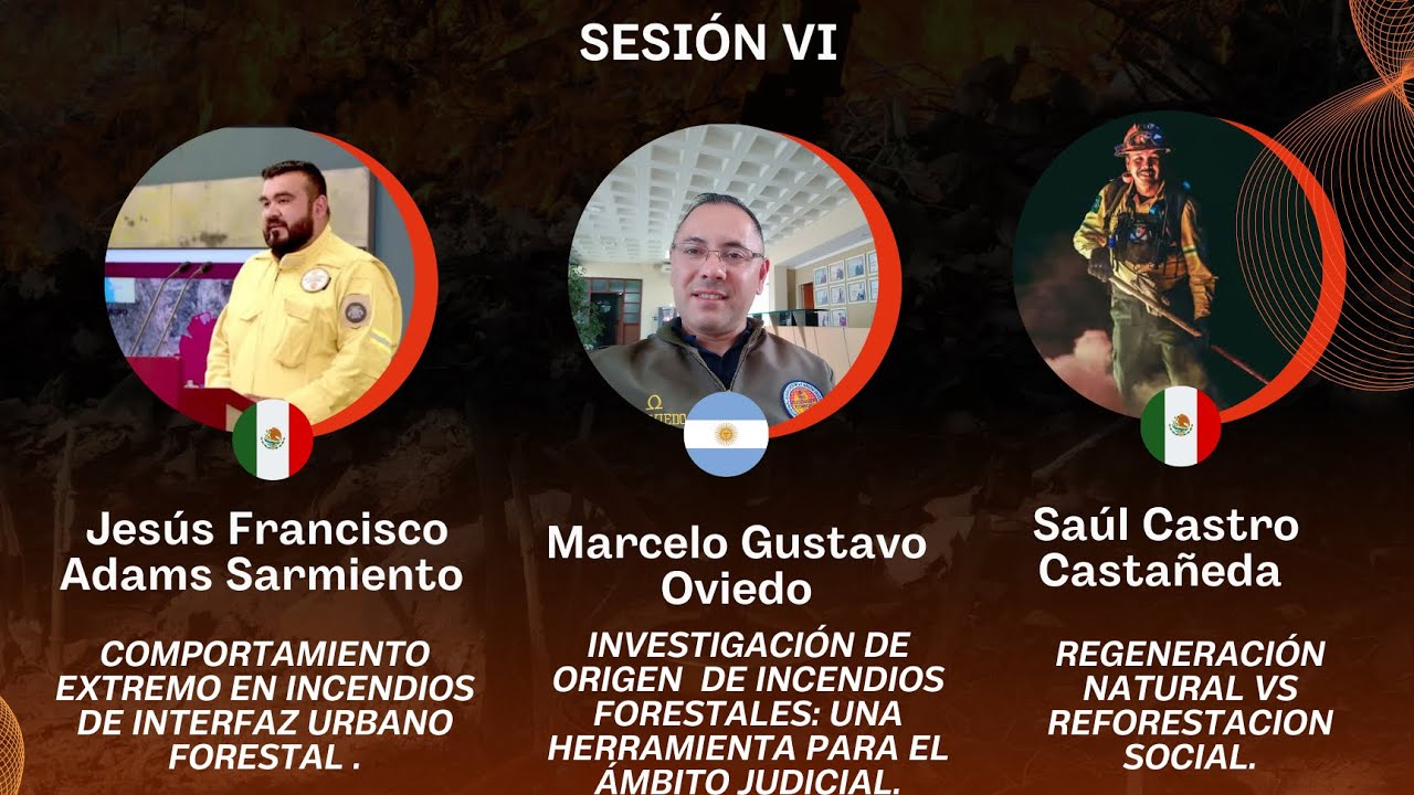 Sesión VI del Seminario Permanente de Manejo del Fuego 2025