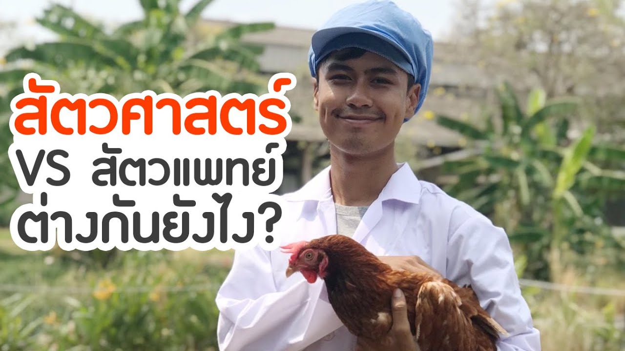 U-Review รีวิวสาขาวิชาสัตวศาสตร์ สถาบันเทคโนโลยีพระจอมเกล้าเจ้าคุณทหารลาดกระบัง