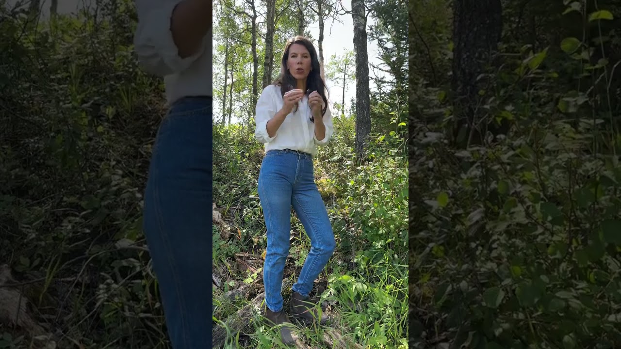 The Spiritual Properties of Buffalo Berry | Spiritual Properties of Plants