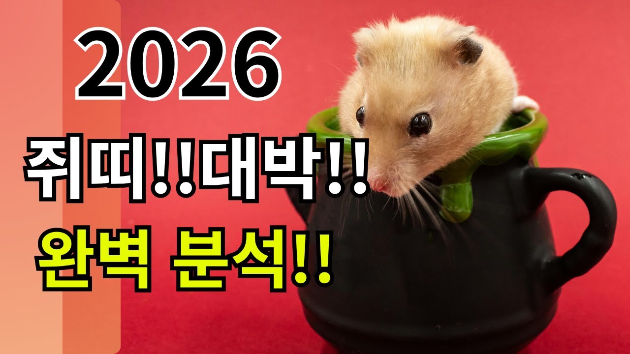 2026년 쥐띠 신년운세 | 병오년 나이별 완벽 분석 (31살/43살/55살/67살)