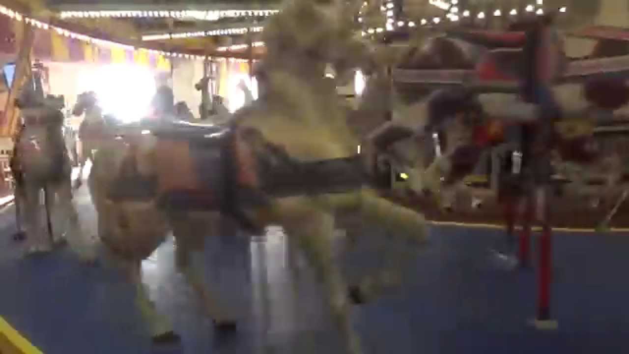 00046 Casino Pier Carousel Seaside NJ