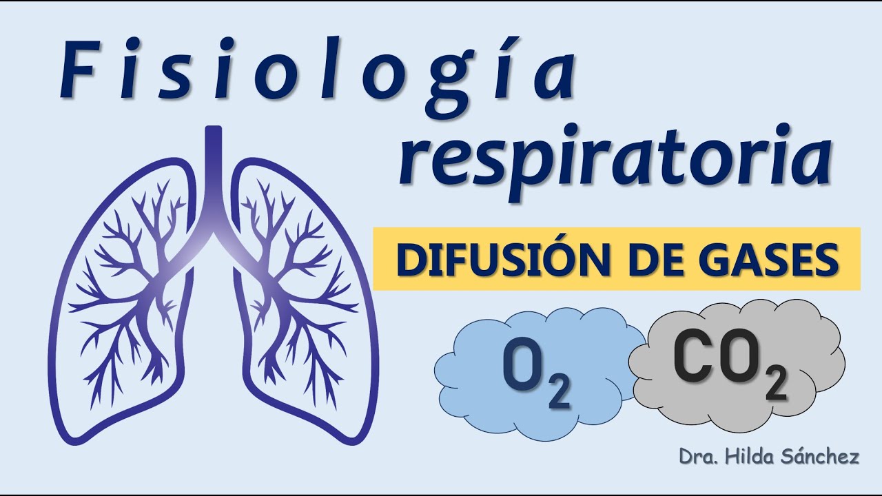 Difusión de Gases en los Pulmones 🫁 Explicación clara y rápida para estudiantes de medicina