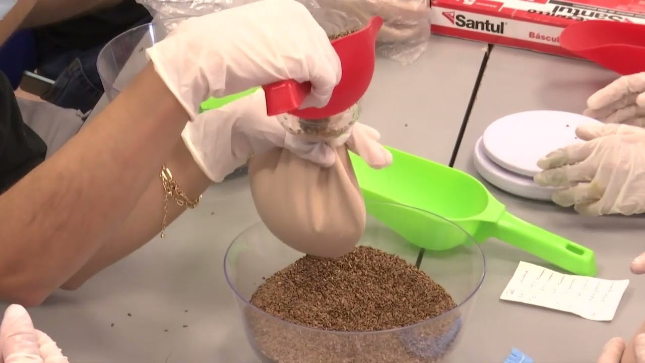 Elaboran estudiantes prótesis de mama artesanales