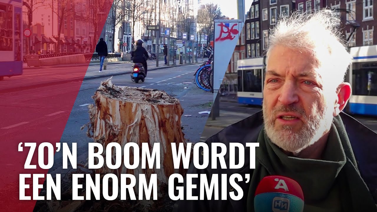 Amsterdammers voelen zich niet betrokken bij bomenkap in stad