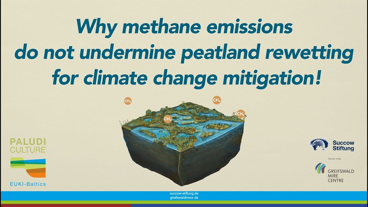 The role of methane in peatlands and in peatland rewetting