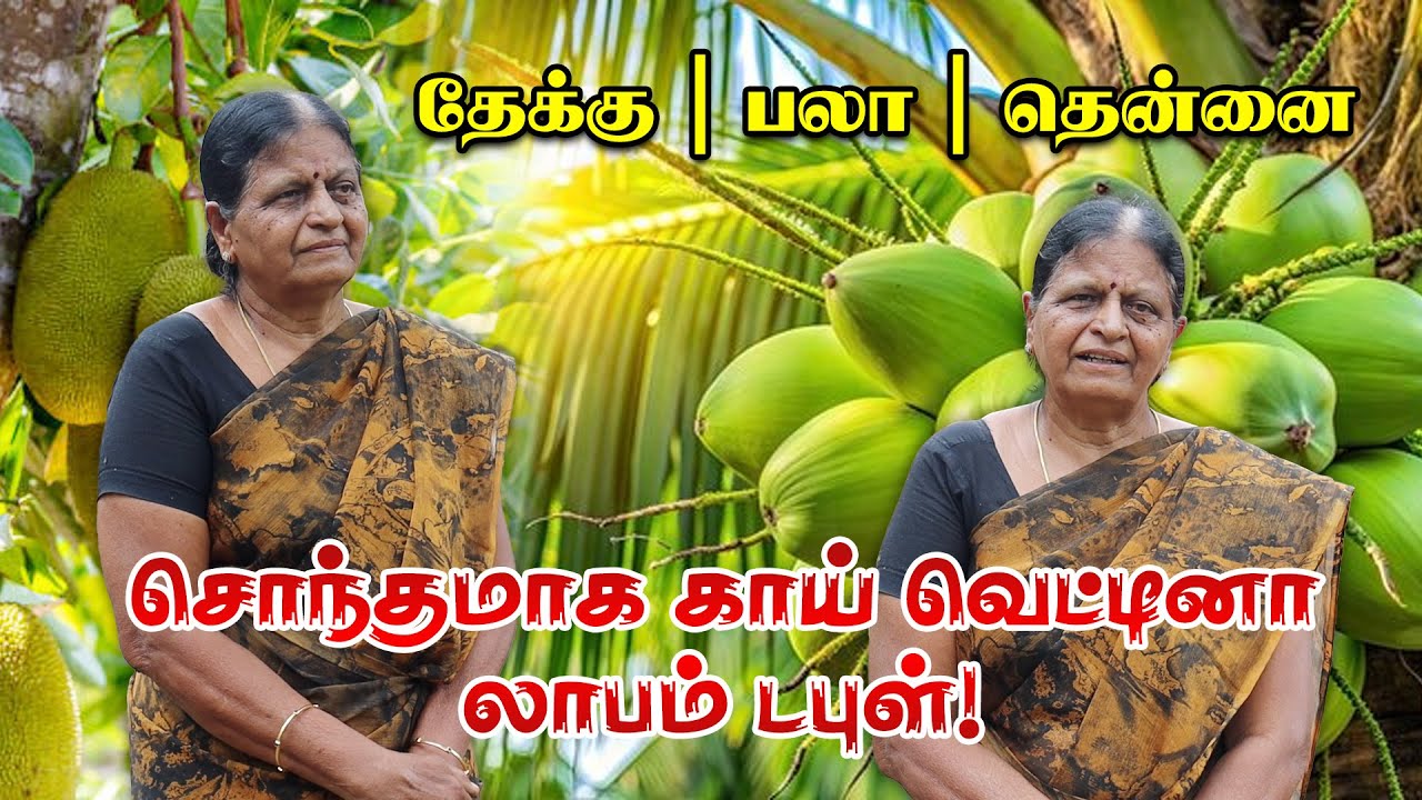 இந்த 3 மரங்கள் வைத்தா போதும்!, சொந்தமாக காய் வெட்டினா லாபம் டபுள்! 💰🌴 #coconuts #jackfruit #teak