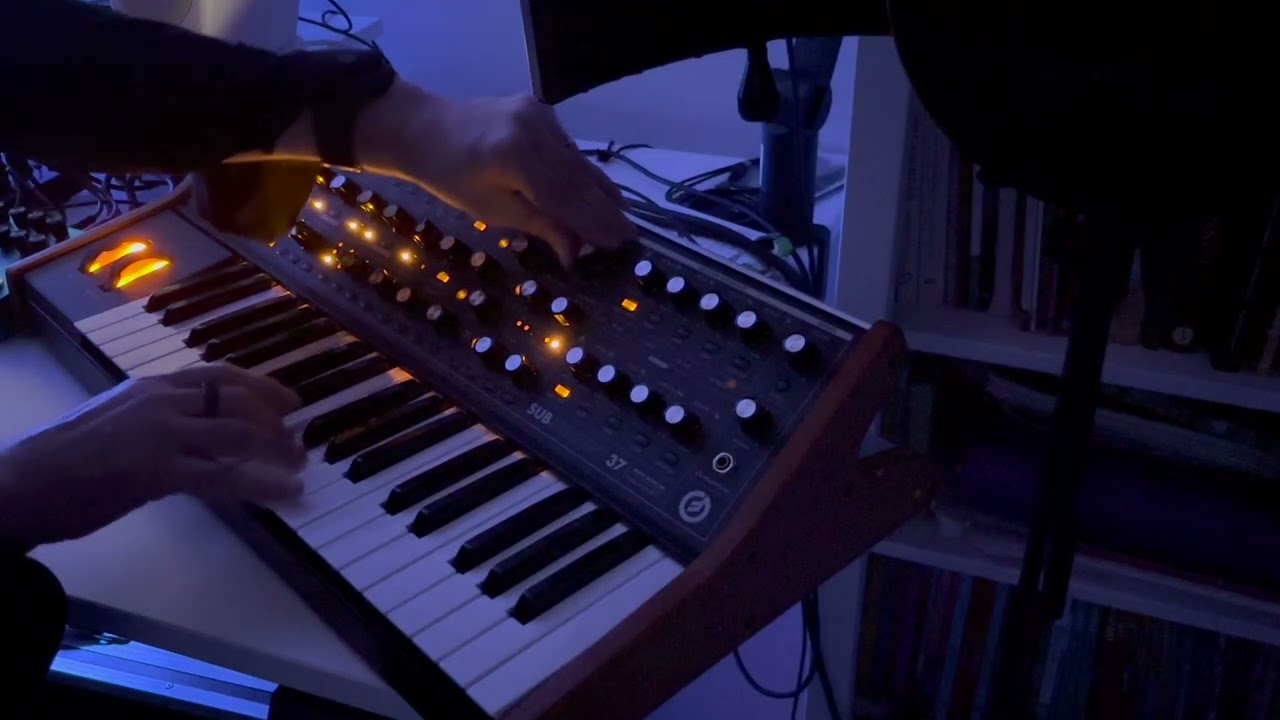 Improvisation on Moog Subsequent 37 and Strymon BigSky