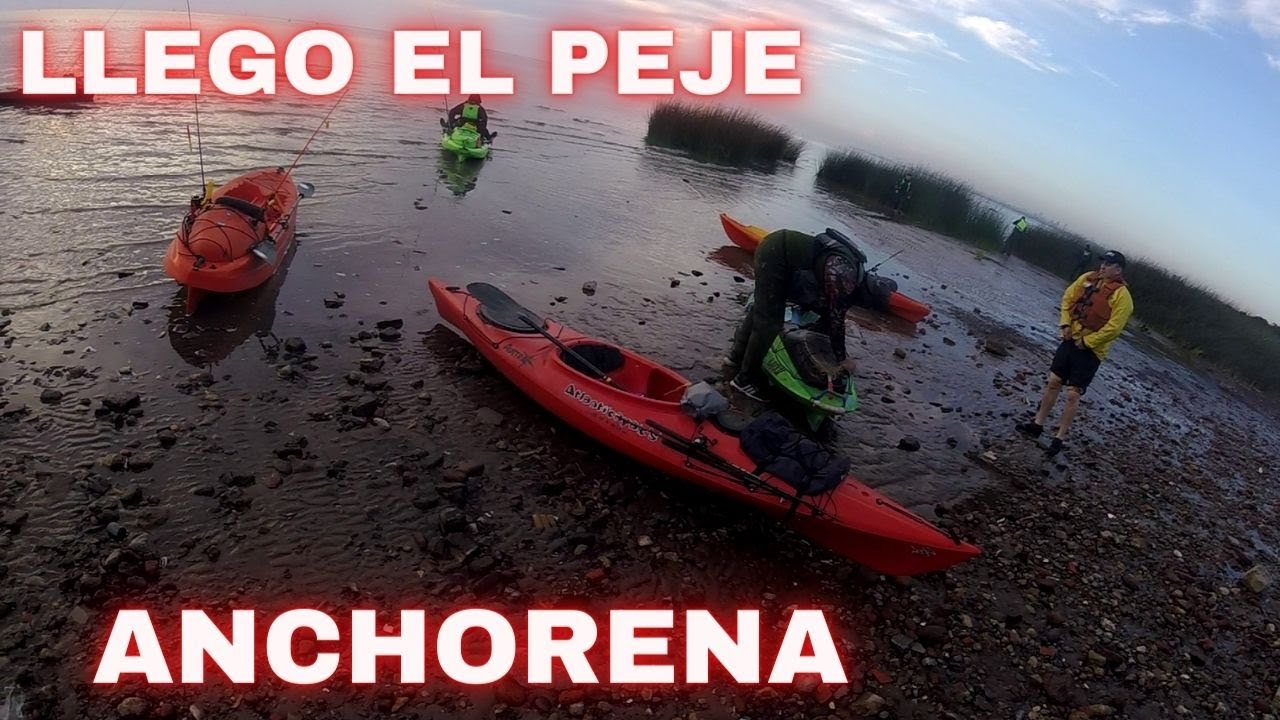 Pesca de Pejerrey en Anchorena