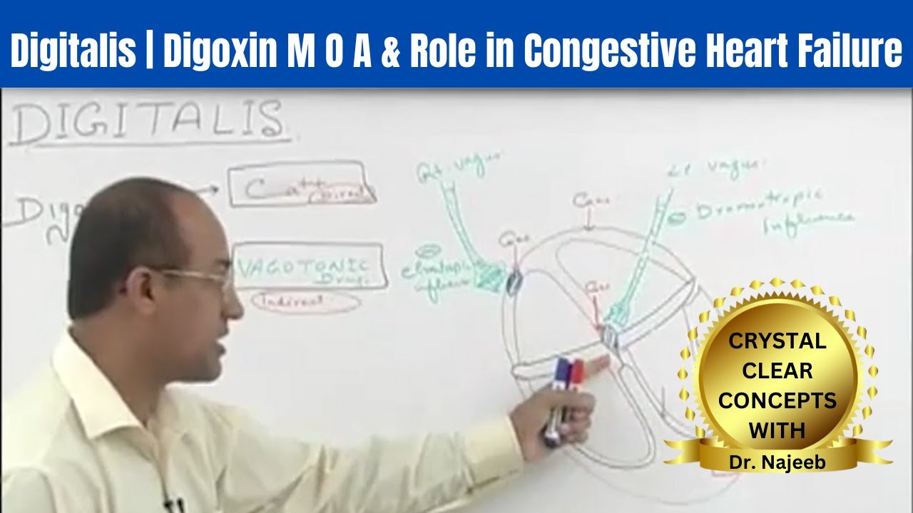 Digitalis | Digoxin M O A & Role in Congestive Heart Failure