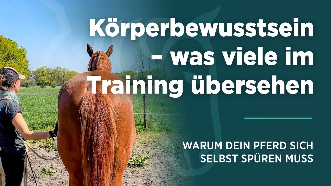 K&ouml;rperbewusstsein - was viele im Training &uuml;bersehen. Warum dein Pferd sich selbst sp&uuml;ren muss