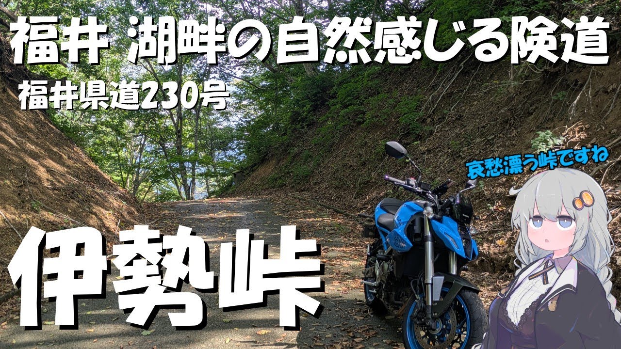 GSX-8S│福井　険道230号・伊勢峠│VOICEROID車載