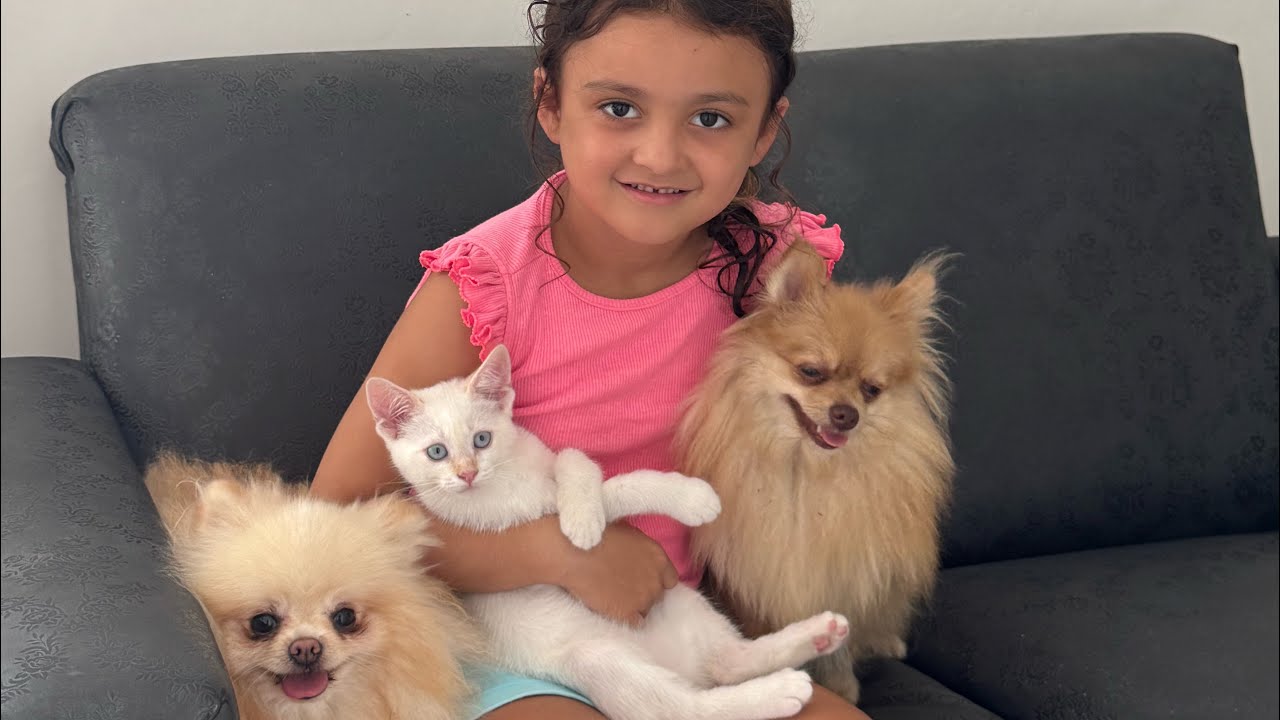 Impressionante: Adaptação Concluída! 2 Lulus e 1 Gatinha em menos de 15 dias! 🐾