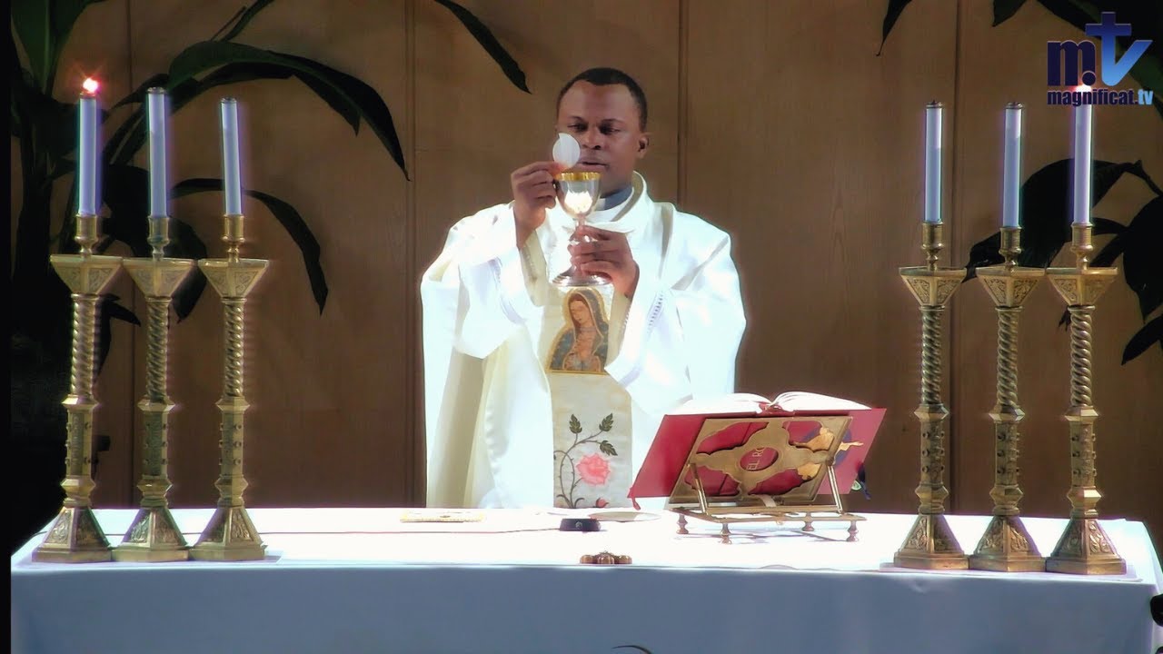 Messe du jour | Pr&eacute;sentation de la Sainte Vierge Marie | 21-11-2025 | P. Achille Jos&eacute; Nkomo B, FM