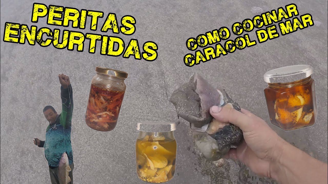 DEL MAR AL FRASCO. PESCA Y COCINA