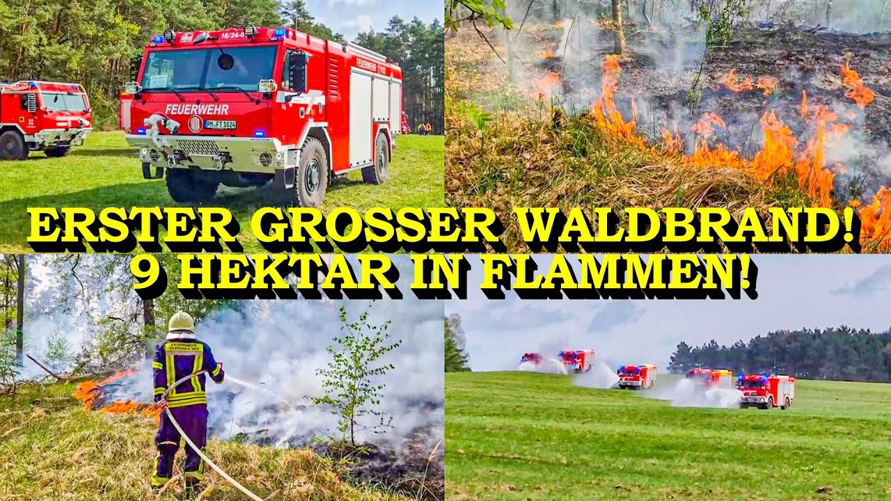 +++ ERSTER GROSSER WALDBRAND +++ 9 HEKTAR WALD IN FLAMMEN | FEUERWEHR | GROSSEINSATZ | WALDBRAND-TLF