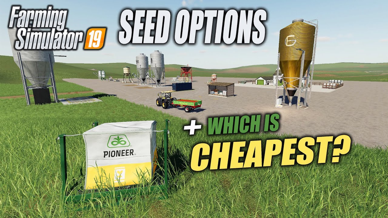 SEED OPTIONS | FARMING SIMULATOR 19 | WHICH IS CHEAPEST? FS19 test/results.