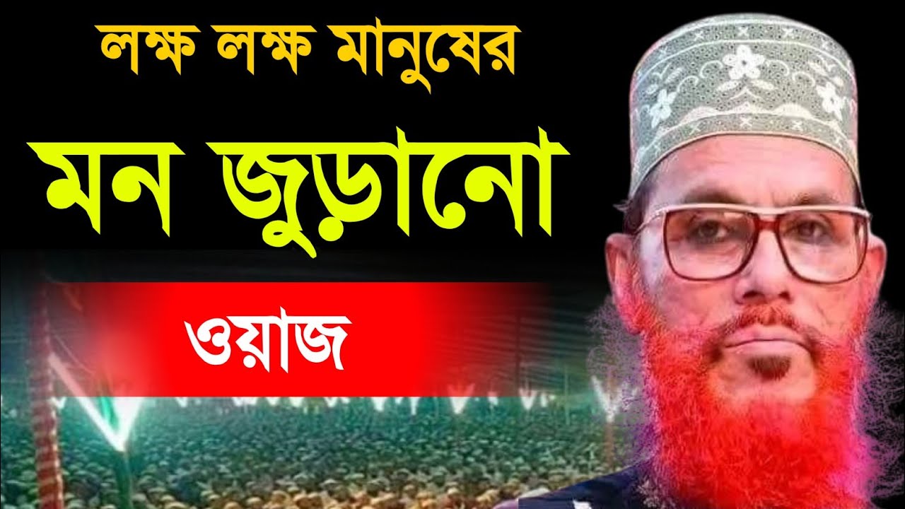 লক্ষ লক্ষ মানুষের মন জুড়ানো ওয়াজ | আল্লামা দেলোয়ার হোসাইন সাঈদী | Allama Delwar Hossain saidi