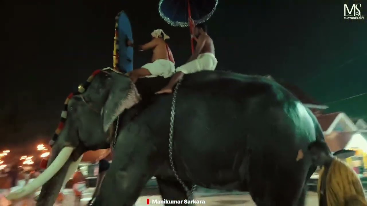 ധ്വജ പ്രതിഷ്ഠ വാർഷികം 2026  .ശാർക്കര ദേവി ക്ഷേത്രം  