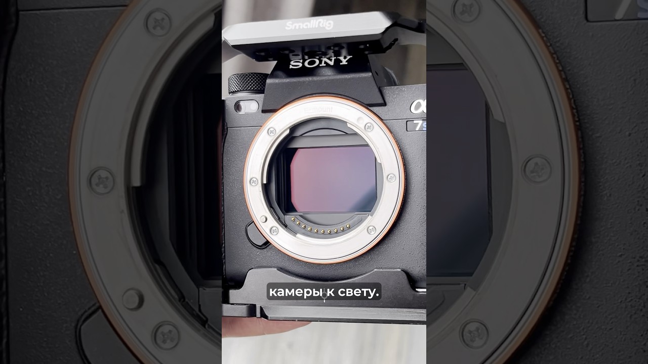 Что такое ISO? Быстрое объяснение #iso #sonyalpha #camerasettings