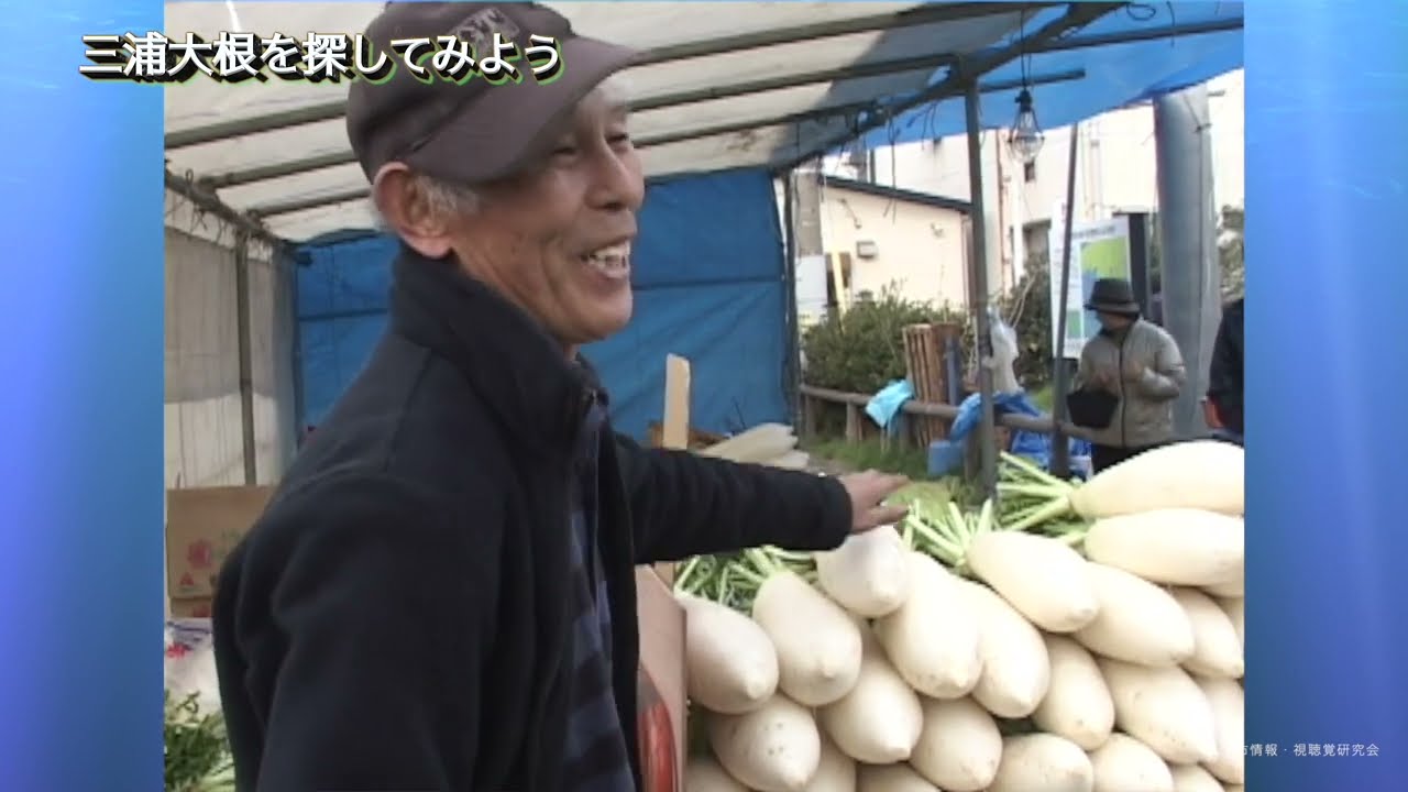 【三浦半島】小学校社会科　農業　水産業の学習　[三浦市の土地利用] 農業と漁業が盛んな理由