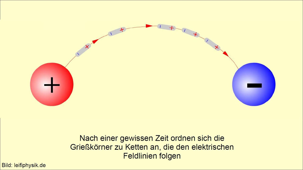 Grießkörnerversuch (Elektrische Feldlinien)