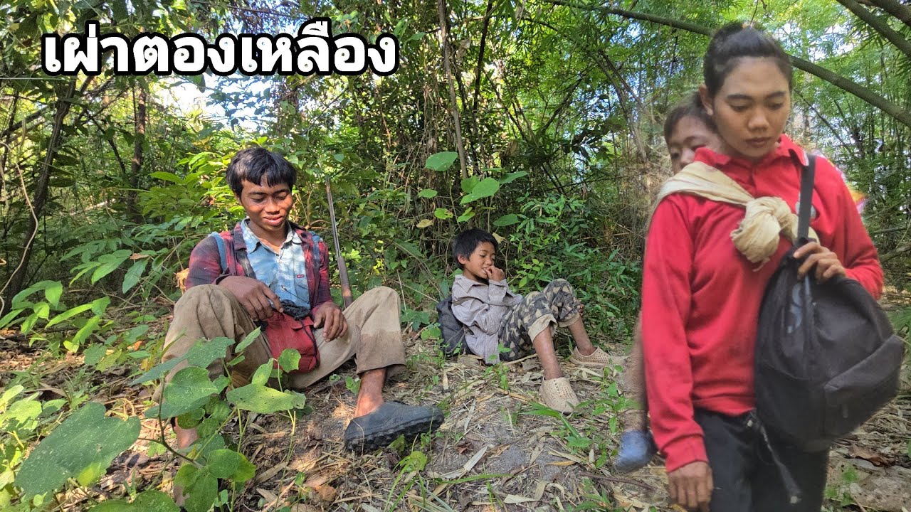 วินาทีที่บ่าวนูนพบกับบุญรอดลูกชายที่เติบโตอยู่ในป่า คนป่า ตองเหลึอง ຄົນປ່າ ຕອງເຫຼືອງ bn saolao 