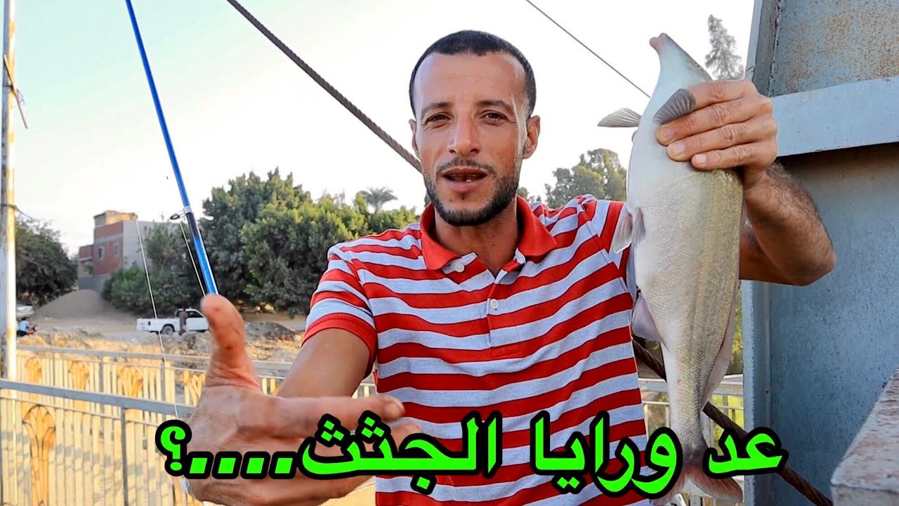 مسكني سناره وعد جثث سمك الانوم ورايا ....؟