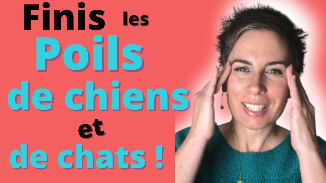 Astuces pour enlever facilement les poils de chiens et de chats  sur canapés, tapis et vêtements !