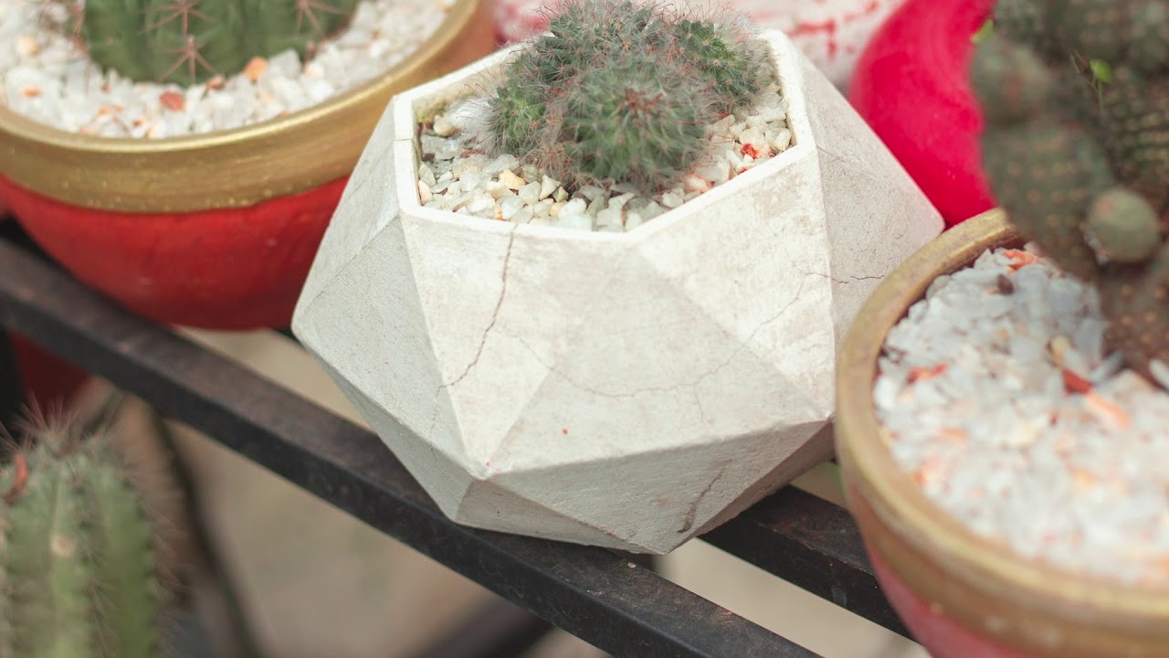 From Home Gardening to a Full Time Business – Up Close with Green It Is