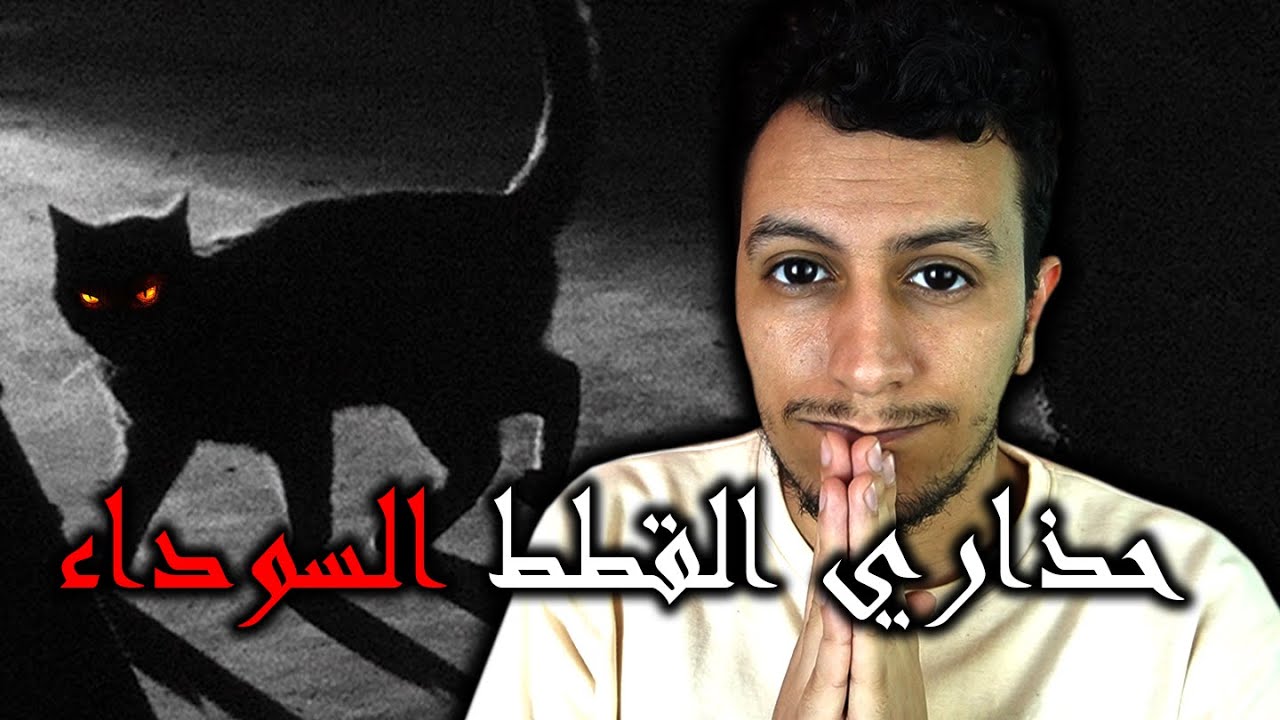 لا تلعب مع القطط في الليل