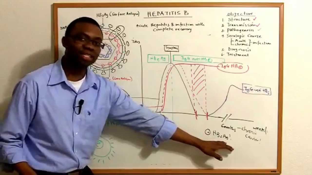 Hepatitis B Infections- Pathophysiology made simple