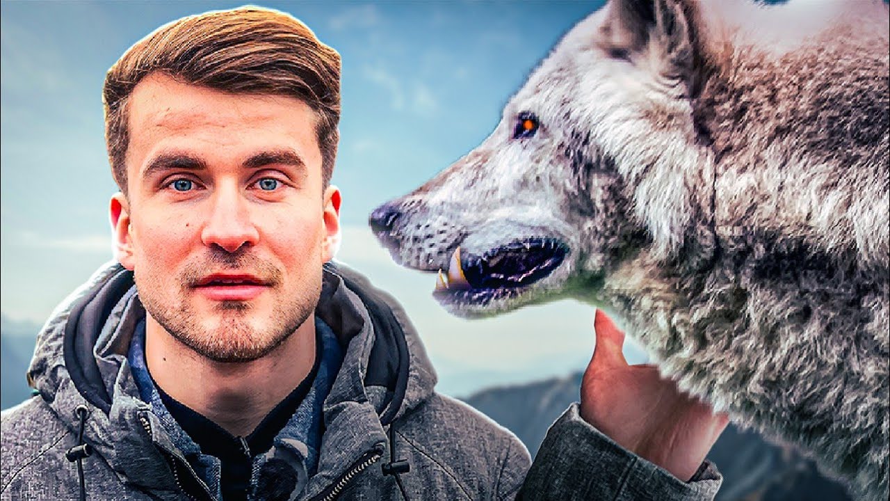 WOLVEN in Nederland, dus ik zocht ze op!