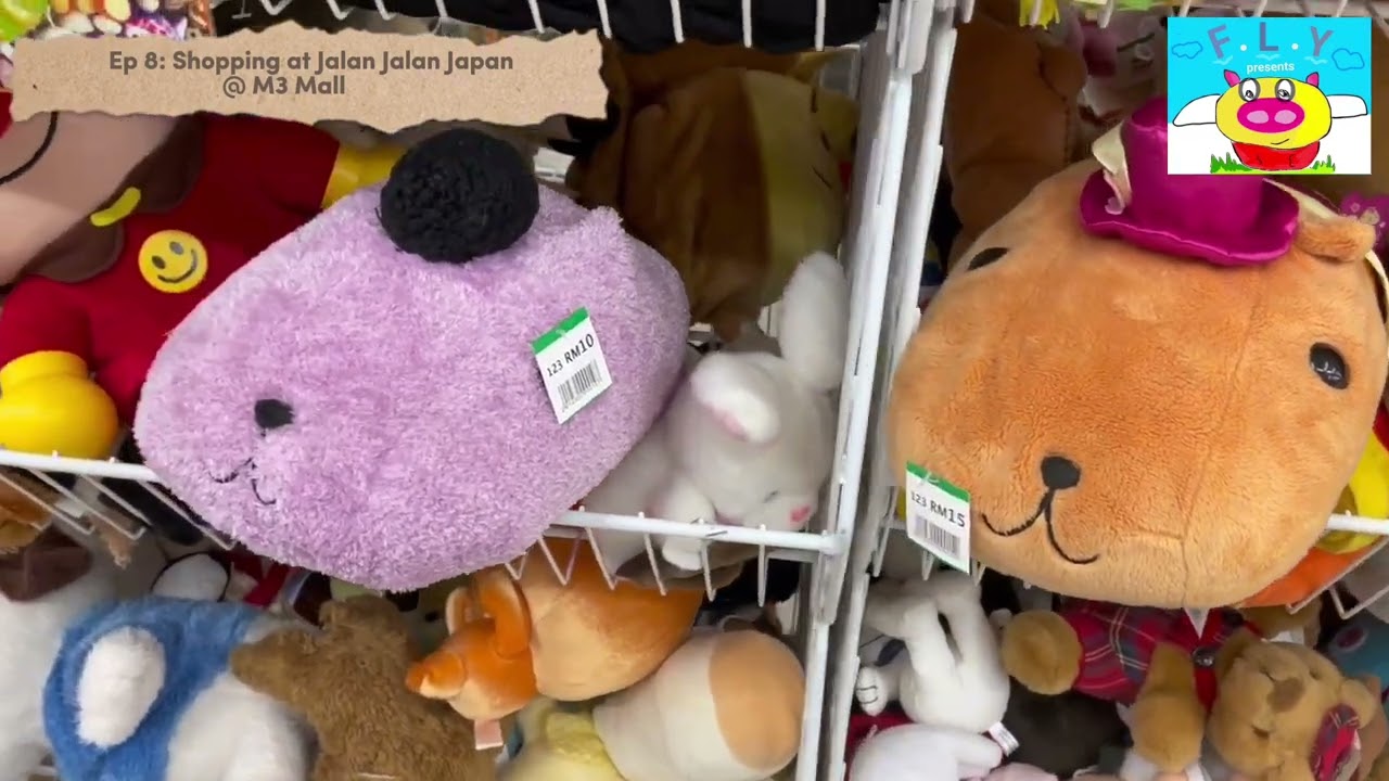 Ep 8: Shopping at Jalan Jalan Japan @ M3 Mall (Thrift store that sells all from RM$1) #youtube #JJJ