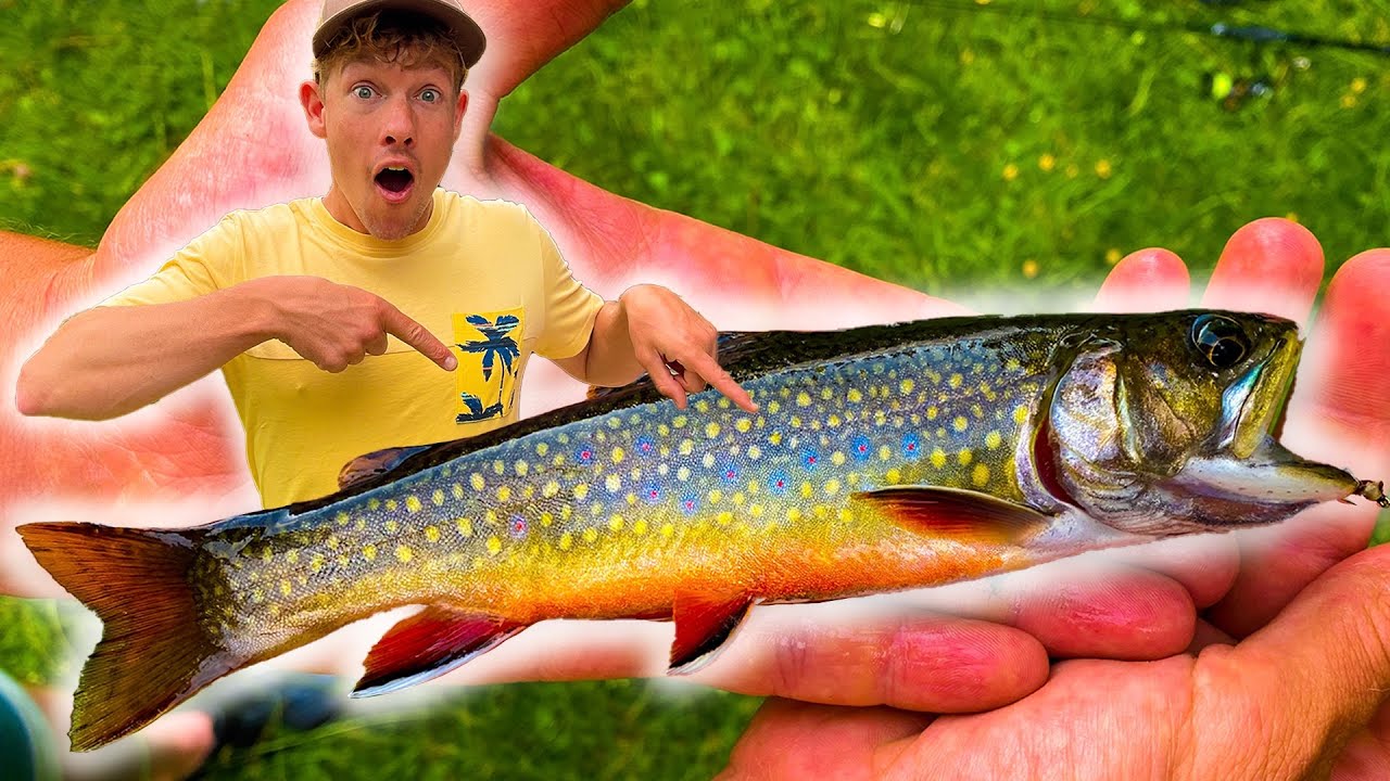 DE MOOISTE VIS DIE IK OOIT HEB GEVANGEN! - VLOG 92