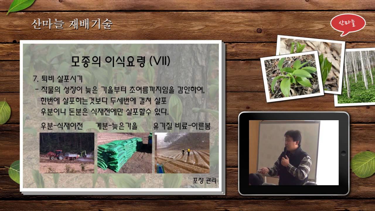 [한국임업진흥원]산마늘 재배기술_20121106