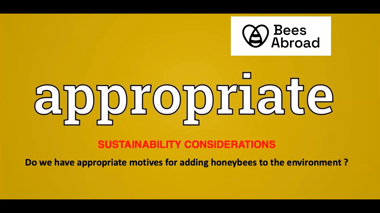 Bees Abroad | Developments in Sustainable Beekeeping