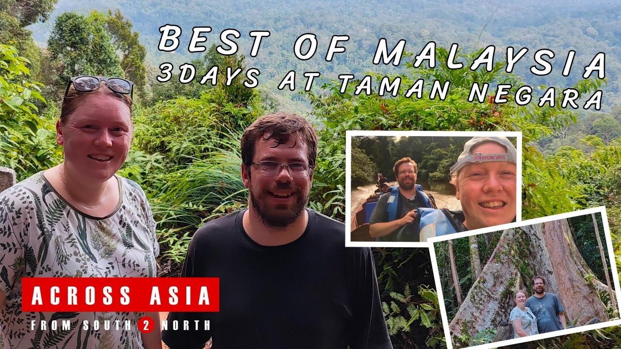 Best of Malaysia: 3 Days into the jungle of the Taman Negara national park!