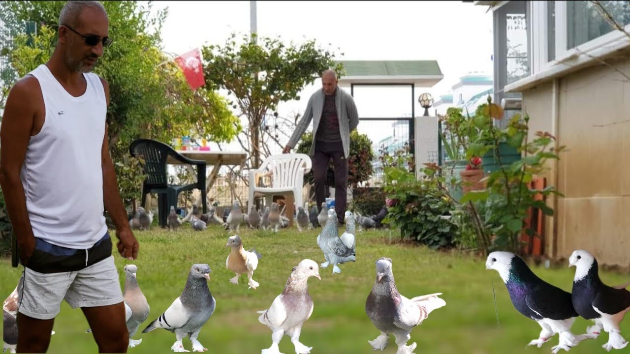 Hazırsanız Başlayalım SEFER Videolarına 👍