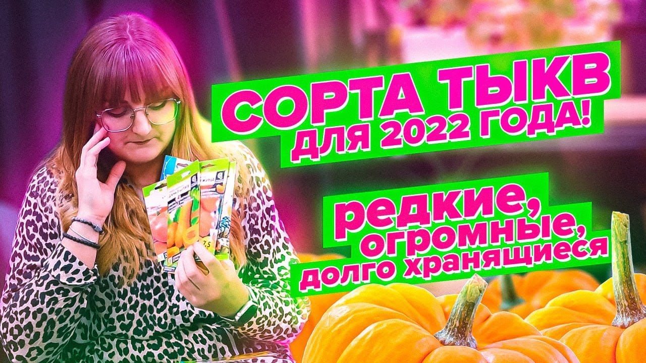 ВЫБИРАЕМ ТЫКВУ ДЛЯ 2022. АРОМАТНЫЕ, МУСКАТНЫЕ, ОГРОМНЫЕ, ГОЛОСЕМЕННЫЕ
