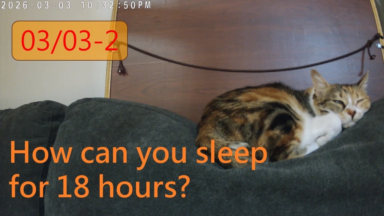 24小時直播精華｜How can you sleep for 18 hours? 2|你怎麼可以睡18個小時 2