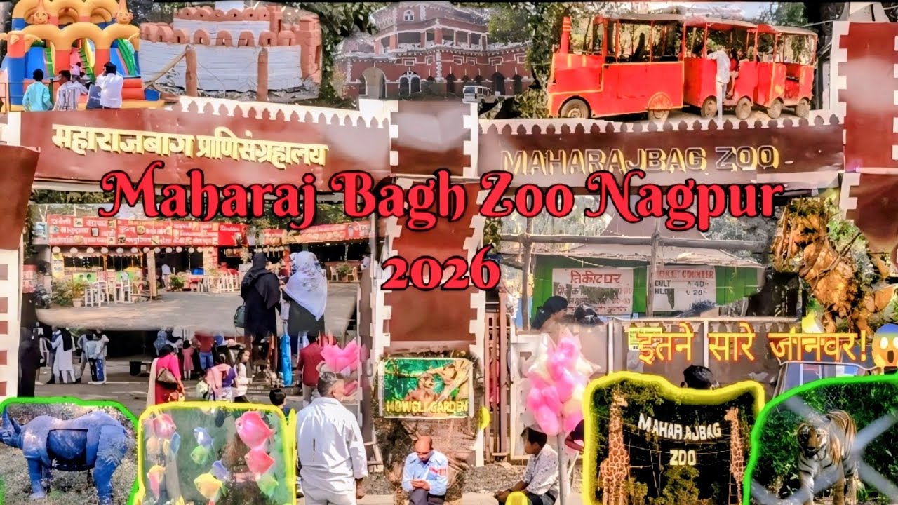 Maharaj Bagh Zoo 🐯 | Nagpur | 2026 | Tiger, Leopard & More! | Entry Fee, Timings, Full Detailed Tour